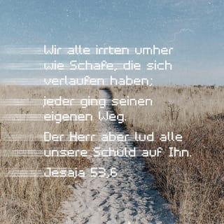 Jesaja 53:6 HFA