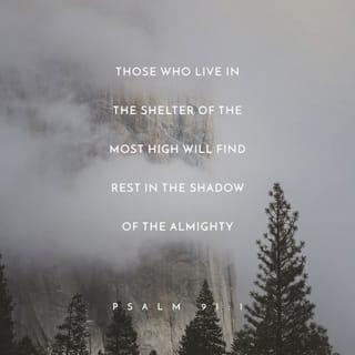 Psalms 91:1-2 - Whoever dwells in the shelter of the Most High
will rest in the shadow of the Almighty.
I will say of the LORD, “He is my refuge and my fortress,
my God, in whom I trust.”