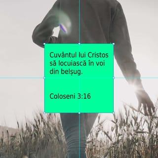 Coloseni 3:16 VDC