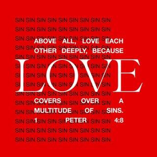 1 Peter 4:8 - Above all, constantly echo God’s intense love for one another, for love will be a canopy over a multitude of sins.