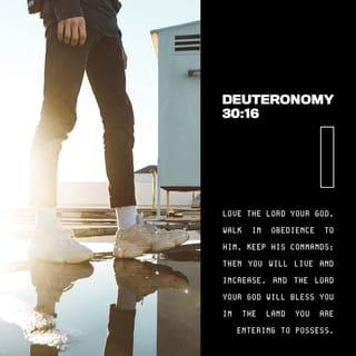 Deuteronomy 30:16 - in that I command thee this day to love the LORD thy God, to walk in his ways, and to keep his commandments and his statutes and his judgments, that thou mayest live and multiply: and the LORD thy God shall bless thee in the land whither thou goest to possess it.