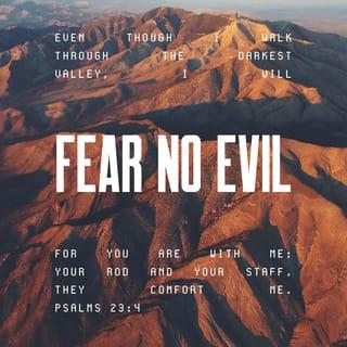 Psalms 23:4 - Even when I walk through the darkest valley,
I fear no danger because you are with me.
Your rod and your staff—
they protect me.