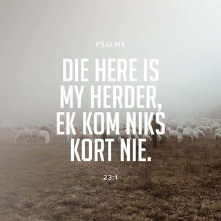 PSALMS 23:1 - 'n Psalm van Dawid.
Die Here is my herder, ek kom niks kort nie.
