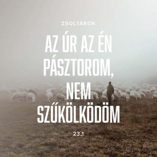 Zsoltárok 23:2 HUNK