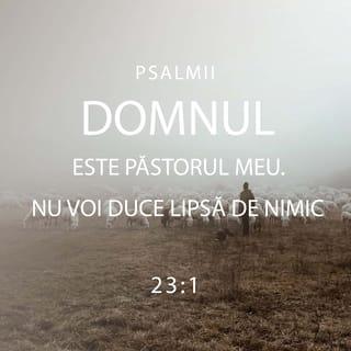 Psalmul 23:1 - Domnul este Păstorul meu: nu voi duce lipsă de nimic.