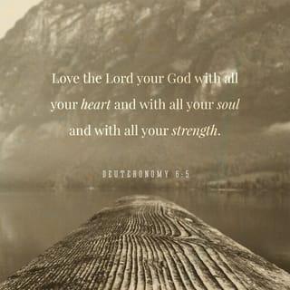 Deuteronomy 6:5 - You shall love the LORD your God with all your heart and with all your soul and with all your might.