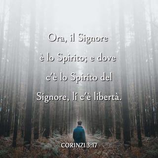 Seconda lettera ai Corinzi 3:17 - Ora, il Signore è lo Spirito; e dove c’è lo Spirito del Signore c’è libertà.