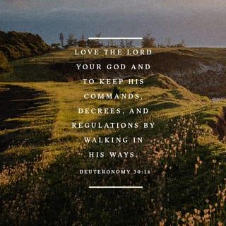 Deuteronomy 30:16 - And I command you today: Love GOD, your God. Walk in his ways. Keep his commandments, regulations, and rules so that you will live, really live, live exuberantly, blessed by GOD, your God, in the land you are about to enter and possess.