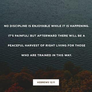 Hebrews 12:11 - No discipline is enjoyable while it is happening—it’s painful! But afterward there will be a peaceful harvest of right living for those who are trained in this way.
