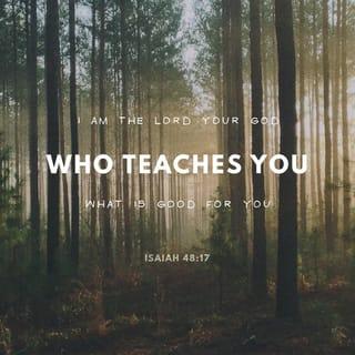 Isaiah 48:17-18 - Thus says the LORD, your Redeemer, the Holy One of Israel,
“I am the LORD your God, who teaches you to profit,
Who leads you in the way you should go.
If only you had paid attention to My commandments!
Then your well-being would have been like a river,
And your righteousness like the waves of the sea.
