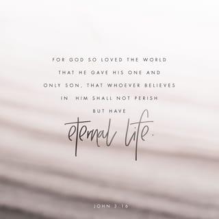John 3:15-17 - that everyone who believes may have eternal life in him.”
For God so loved the world that he gave his one and only Son, that whoever believes in him shall not perish but have eternal life. For God did not send his Son into the world to condemn the world, but to save the world through him.