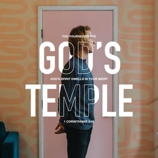 1 Corinthians 3:16-17 - Don’t you realize that all of you together are the temple of God and that the Spirit of God lives in you? God will destroy anyone who destroys this temple. For God’s temple is holy, and you are that temple.