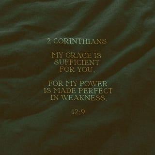 2 Corinthians 12:9 - But he said to me, “My grace is sufficient for you, for my power is perfected in weakness.”
Therefore, I will most gladly boast all the more about my weaknesses, so that Christ’s power may reside in me.