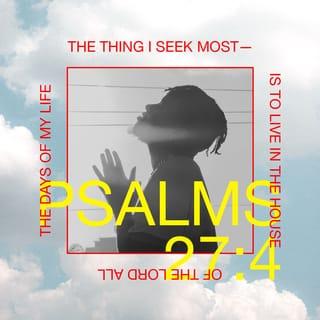 Psalms 27:4 - One thing I have asked from the LORD, that I shall seek:
That I may dwell in the house of the LORD all the days of my life,
To behold the beauty of the LORD
And to meditate in His temple.