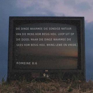 ROMEINE 8:6-8 AFR83