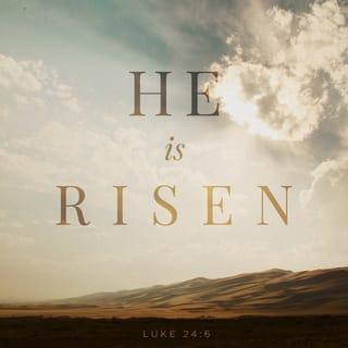 Luke 24:5-8 - In their fright the women bowed down with their faces to the ground, but the men said to them, “Why do you look for the living among the dead? He is not here; he has risen! Remember how he told you, while he was still with you in Galilee: ‘The Son of Man must be delivered over to the hands of sinners, be crucified and on the third day be raised again.’ ” Then they remembered his words.