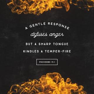 Proverbs 15:1-2 - A soft answer turneth away wrath:
But grievous words stir up anger.
The tongue of the wise useth knowledge aright:
But the mouth of fools poureth out foolishness.