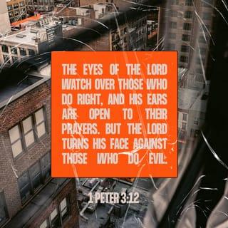 1 Peter 3:12-16 - For the eyes of the Lord are over the righteous,
And his ears are open unto their prayers:
But the face of the Lord is against them that do evil.
And who is he that will harm you, if ye be followers of that which is good? But and if ye suffer for righteousness' sake, happy are ye: and be not afraid of their terror, neither be troubled; but sanctify the Lord God in your hearts: and be ready always to give an answer to every man that asketh you a reason of the hope that is in you with meekness and fear: having a good conscience; that, whereas they speak evil of you, as of evildoers, they may be ashamed that falsely accuse your good conversation in Christ.