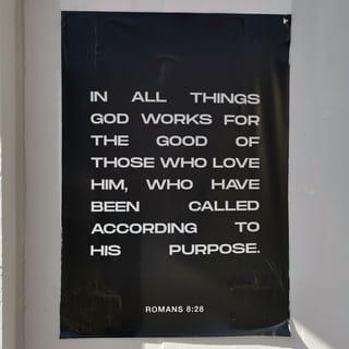 Romans 8:28 - And we know that God causes all things to work together for good to those who love God, to those who are called according to His purpose.