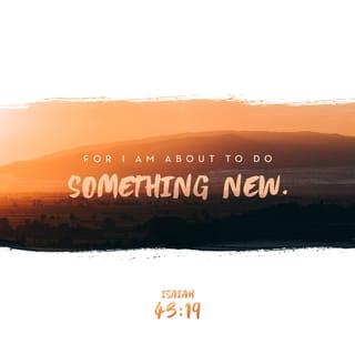 Isaiah 43:19 - For I am about to do something new.
See, I have already begun! Do you not see it?
I will make a pathway through the wilderness.
I will create rivers in the dry wasteland.