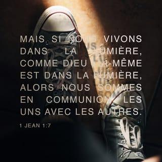 1 Jean 1:7 PDV2017