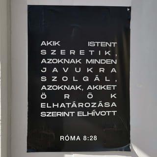 Róma 8:28 HUNK