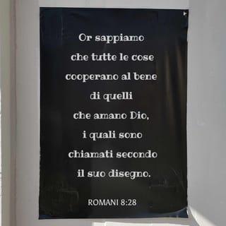 Lettera ai Romani 8:28 NR06