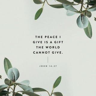 John 14:27-31 - Peace I leave with you; my peace I give you. I do not give to you as the world gives. Do not let your hearts be troubled and do not be afraid.
“You heard me say, ‘I am going away and I am coming back to you.’ If you loved me, you would be glad that I am going to the Father, for the Father is greater than I. I have told you now before it happens, so that when it does happen you will believe. I will not say much more to you, for the prince of this world is coming. He has no hold over me, but he comes so that the world may learn that I love the Father and do exactly what my Father has commanded me.
“Come now; let us leave.