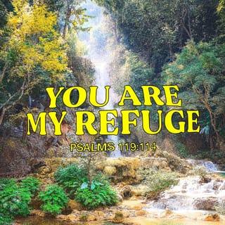 Psalms 119:114 - You are my refuge and my shield;
your word is my source of hope.