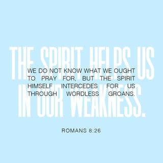 Romans 8:26-27 - In the same way, the Spirit helps us in our weakness. We do not know what we ought to pray for, but the Spirit himself intercedes for us through wordless groans. And he who searches our hearts knows the mind of the Spirit, because the Spirit intercedes for God’s people in accordance with the will of God.