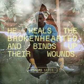 Psalm 147:3 - He heals the brokenhearted
and binds up their wounds.