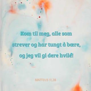 Matteus 11:29 NB