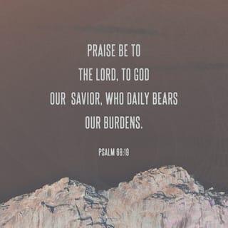 Psalm 68:19 - Blessed be the Lord,
who daily bears us up;
God is our salvation. Selah