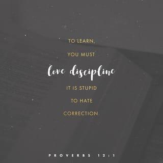 Proverbs 12:1 - Whoever loves discipline loves knowledge,
but whoever hates correction is stupid.