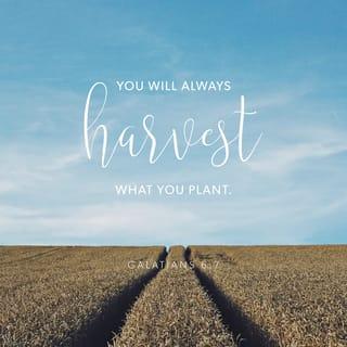 Galatians 6:7 - Do not be deceived: God cannot be mocked. A man reaps what he sows.