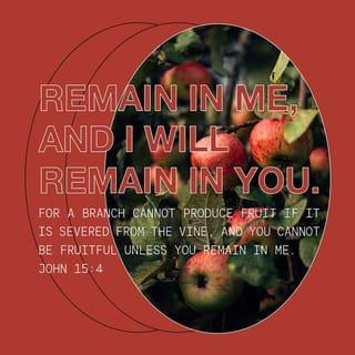 John 15:4 - Abide in Me, and I in you. As the branch cannot bear fruit of itself, unless it abides in the vine, neither can you, unless you abide in Me.