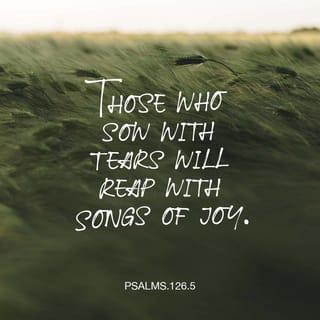 Psalms 126:5-6 - Those who sow in tears
Shall reap in joy.
He who continually goes forth weeping,
Bearing seed for sowing,
Shall doubtless come again with rejoicing,
Bringing his sheaves with him.