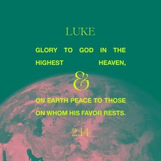 Luke 2:14 - “Glory to God in the highest heaven,
and on earth peace to those on whom his favor rests.”