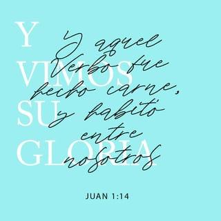 S. Juan 1:14-18 RVR1960