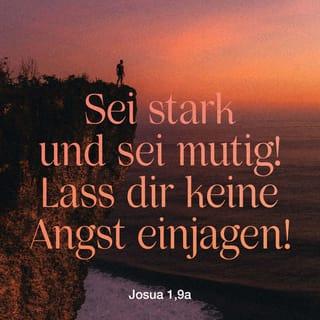 Josua 1:9 - Ja, ich sage es noch einmal: Sei mutig und entschlossen! Lass dich nicht einschüchtern und hab keine Angst! Denn ich, der HERR, dein Gott, stehe dir bei, wohin du auch gehst.«