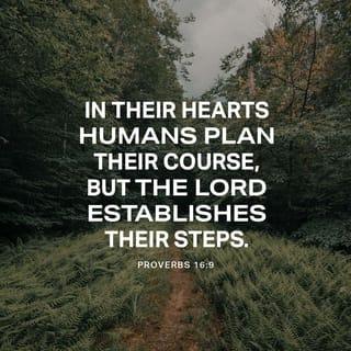 Proverbs 16:9 NCV