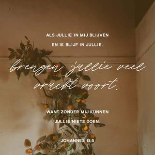 Johannes 15:5 HTB