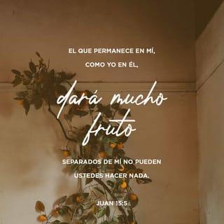 Juan 15:5 - »Yo soy la vid y ustedes son las ramas. El que está unido a mí, como yo estoy unido a él, dará mucho fruto. Si están separados de mí no pueden hacer nada.
