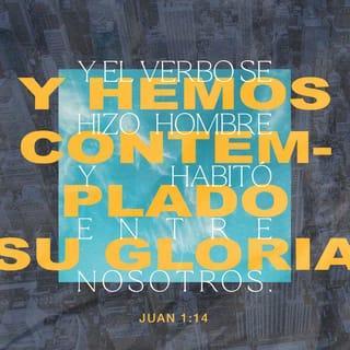 S. Juan 1:14-18 RVR1960