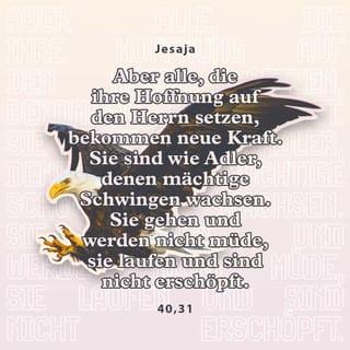 Jesaja 40:31 - Doch die auf Jahwe hoffen, gewinnen neue Kraft. Wie Adler breiten sie die Flügel aus. Sie laufen und werden nicht müde, sie gehen und werden nicht matt.