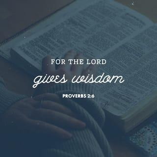 Proverbs 2:6 - For the LORD gives wisdom;
from his mouth come knowledge and understanding.