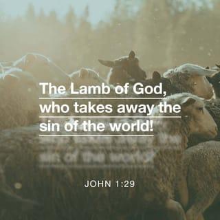 John 1:29 - The next day John saw Jesus coming toward him, and said, “Behold! The Lamb of God who takes away the sin of the world!