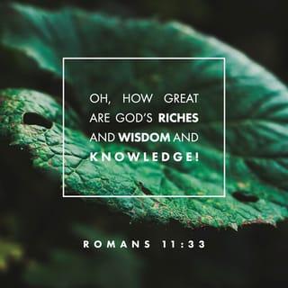 Romans 11:33-36 - God’s riches, wisdom, and knowledge are so deep! They are as mysterious as his judgments, and they are as hard to track as his paths!

“ Who has known the Lord’s mind? ”
“ Or who has been his mentor? ”
“ Or who has given him a gift ”
“ and has been paid back by him? ”
All things are from him and through him and for him.
May the glory be to him forever. Amen.