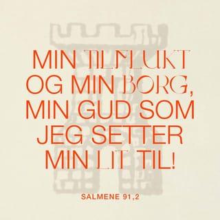 Salmene 91:1-16 NB