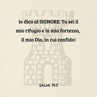 Salmi 91:2 - Io dico al SIGNORE: «Tu sei il mio rifugio e la mia fortezza, il mio Dio, in cui confido!»